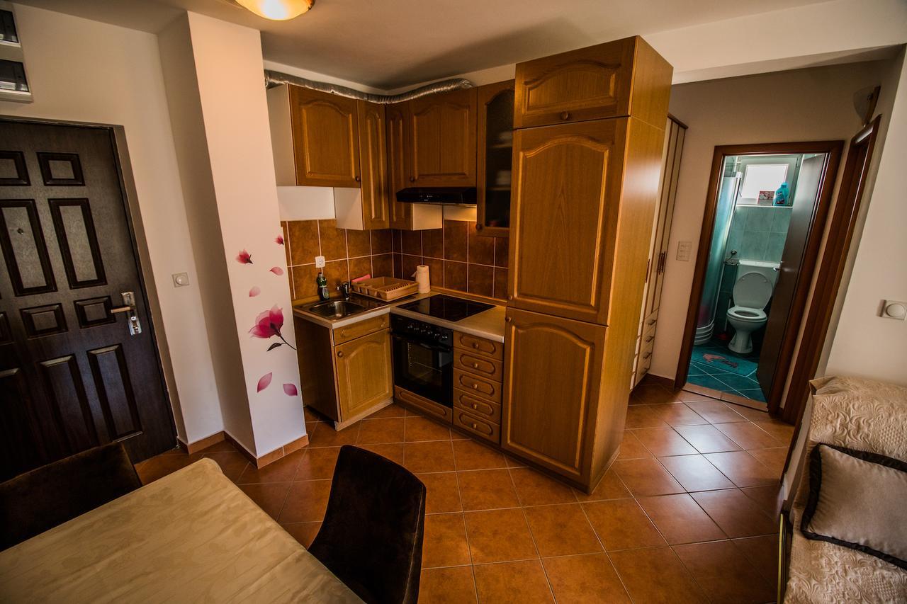 Markovic Apartament
